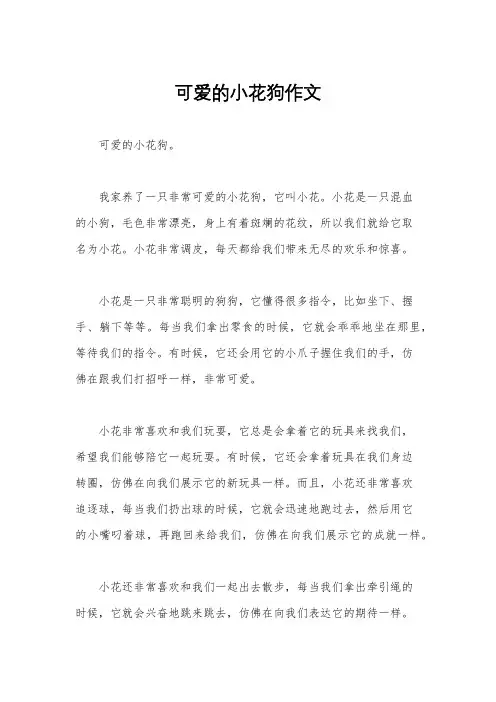 可爱的小花狗作文
