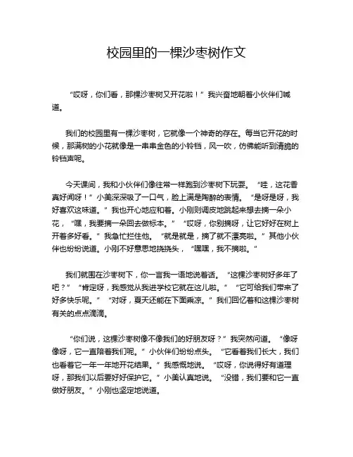 校园里的一棵沙枣树作文