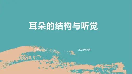 耳朵的结构与听觉