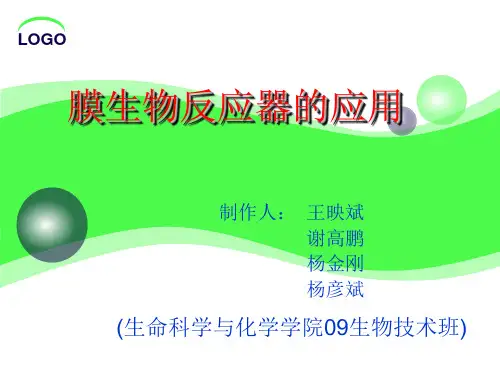 膜反应器 PPT课件