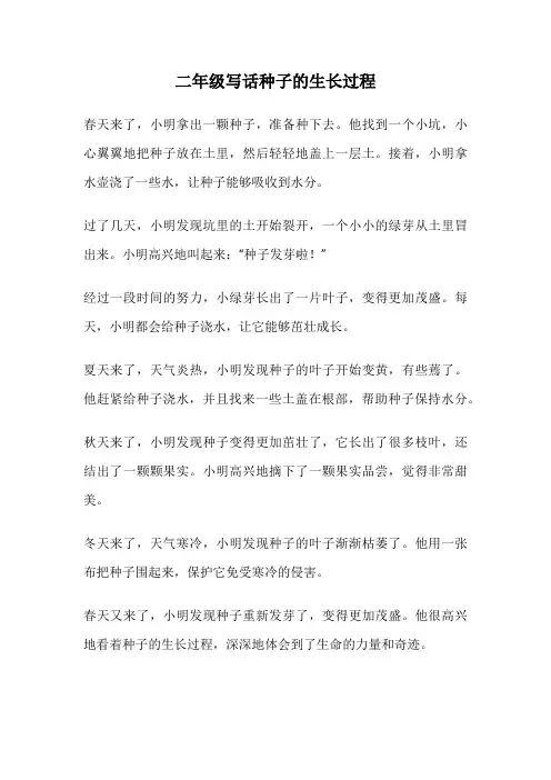 二年级写话种子的生长过程
