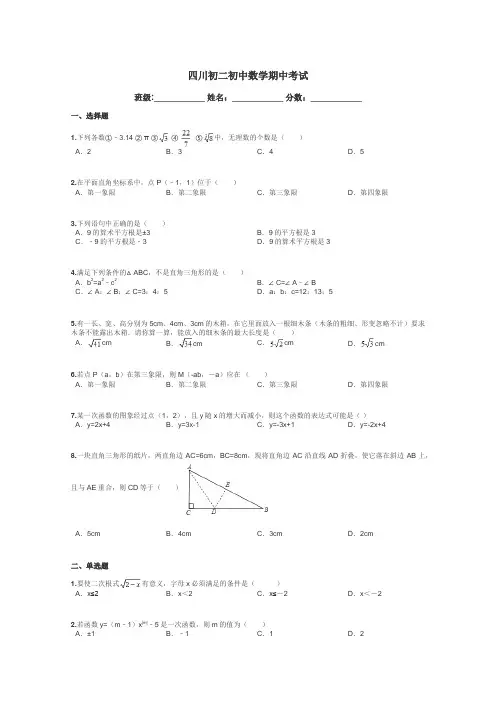 四川初二初中数学期中考试带答案解析

