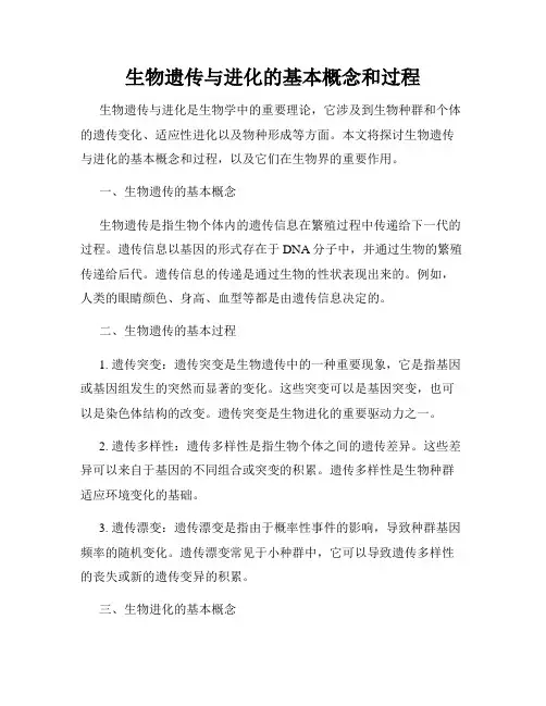 生物遗传与进化的基本概念和过程