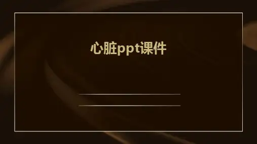 心脏ppt课件