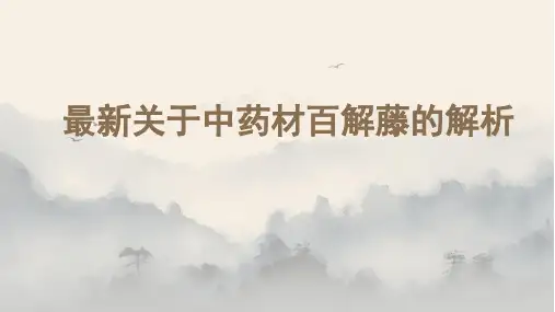 最新关于中药材百解藤的解析