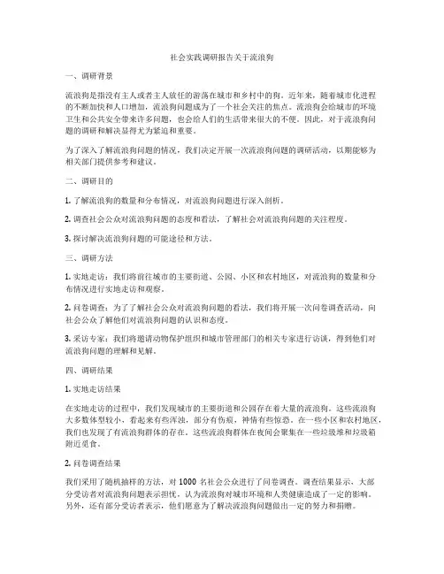社会实践调研报告关于流浪狗