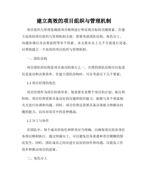 建立高效的项目组织与管理机制
