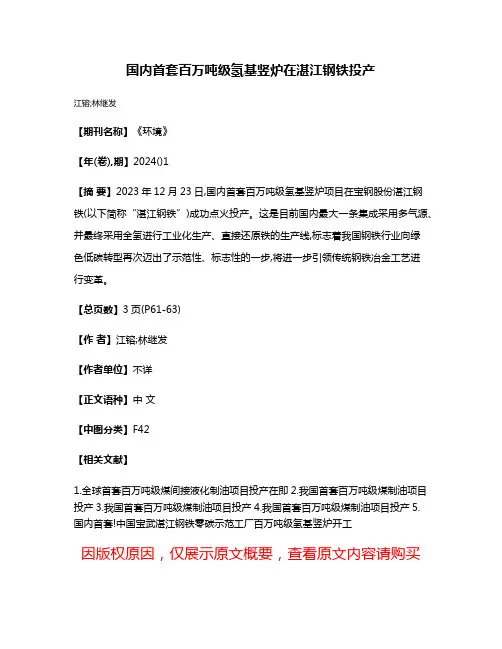 国内首套百万吨级氢基竖炉在湛江钢铁投产