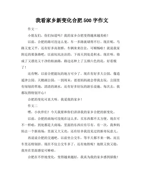 我看家乡新变化合肥500字作文