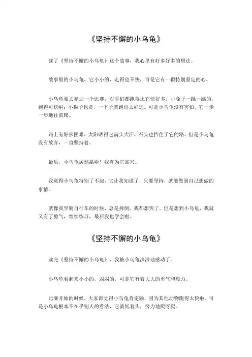 大班坚持不懈的小乌龟读后感