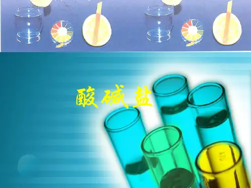 浙教酸碱盐[上学期]PPT课件(初中科学)