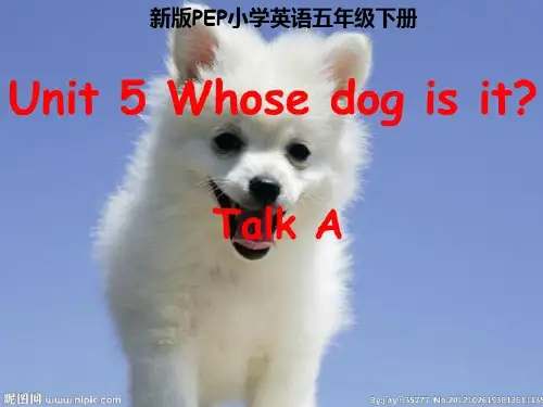 最新人版五年级(下册)英语第五单元完整课件