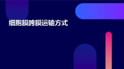 细胞膜跨膜运输方式