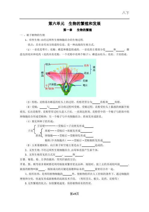 冀少版八年级下册初中生物知识点总结