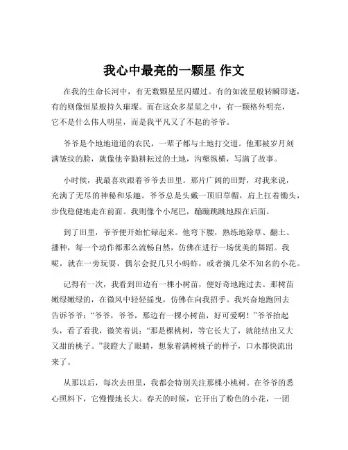 我心中最亮的一颗星 作文