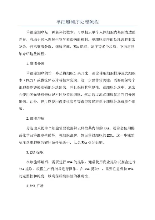 单细胞测序处理流程