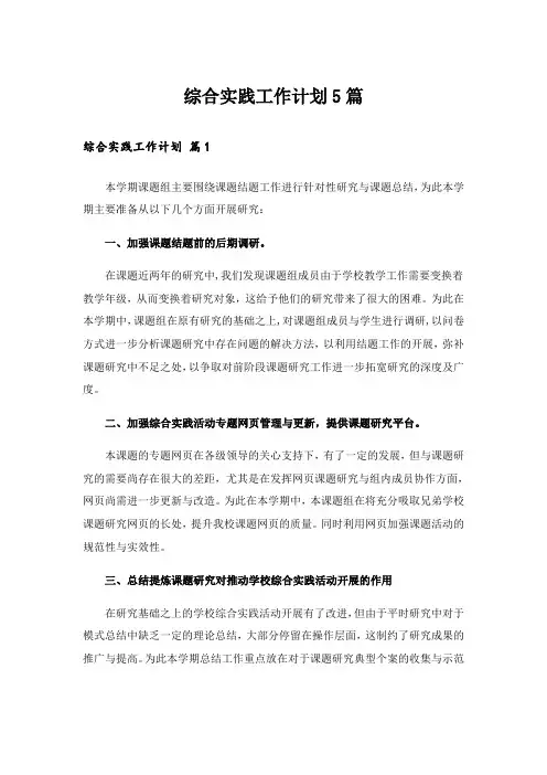 综合实践工作计划5篇