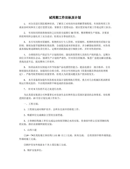 试用期工作目标及计划