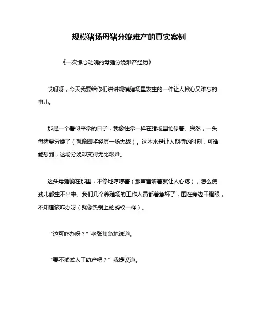 规模猪场母猪分娩难产的真实案例