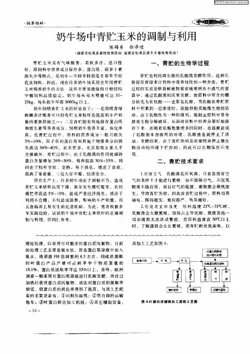 奶牛场中青贮玉米的调制与利用