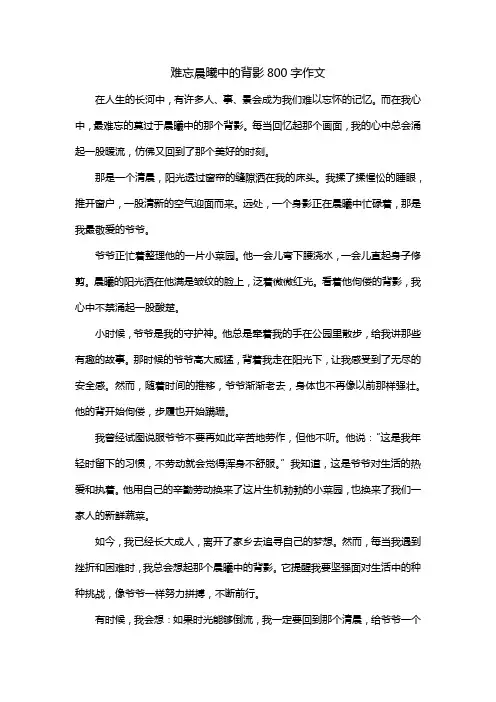 难忘晨曦中的背影800字作文