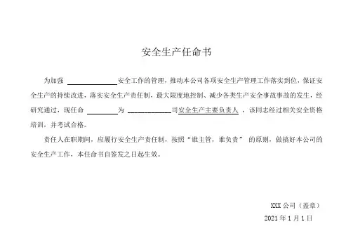 安全生产管理人员,安全主任、主要负责人任命书