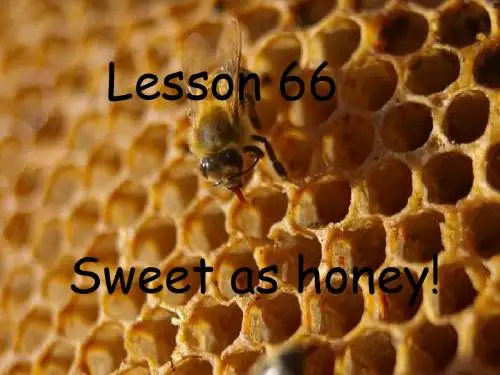 新概念2 Lesson 66