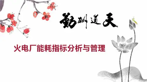 火电厂能耗指标分析与管理