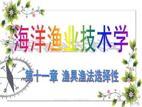 海洋渔业技术学第十一章渔具渔法选择性