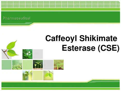 生物工艺学生英文报告交流