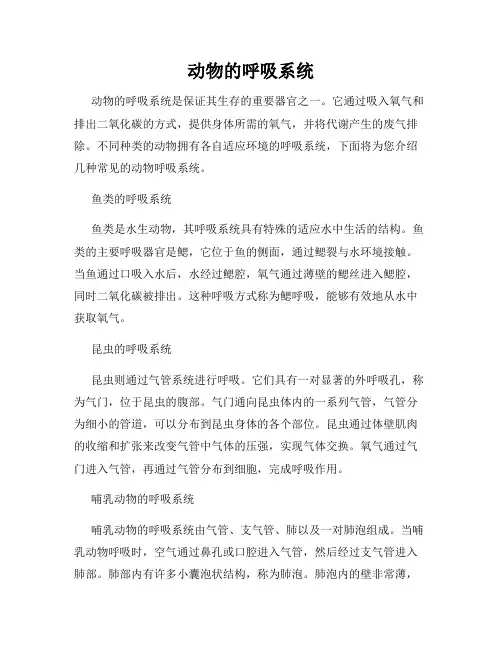动物的呼吸系统