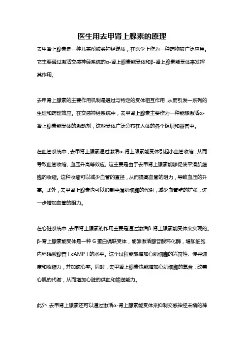 医生用去甲肾上腺素的原理