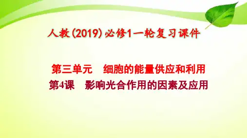 3-4 影响光合作用的因素及应用【人教(2019)必修1一轮复习课件】