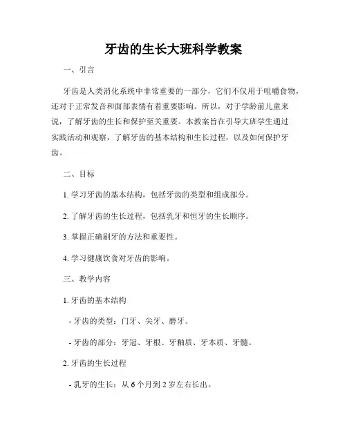 牙齿的生长大班科学教案