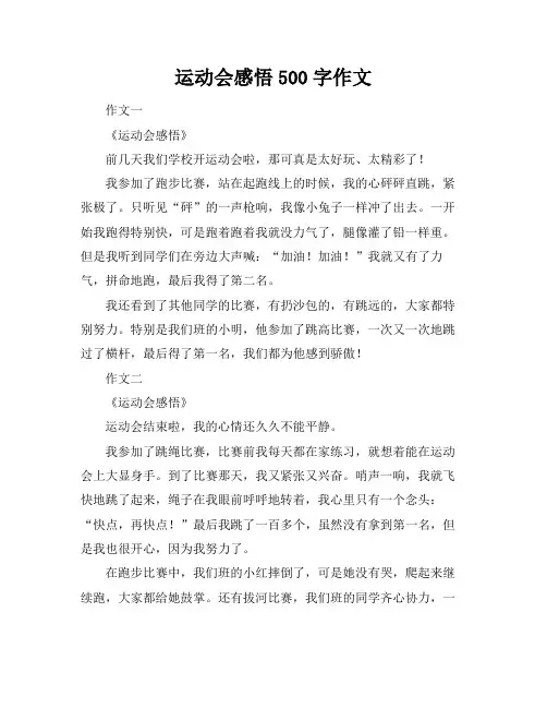 运动会感悟500字作文