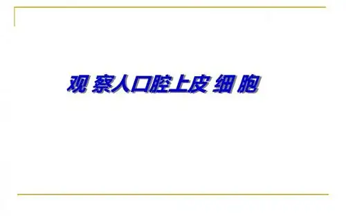 观察人口腔上皮细胞 精品课件