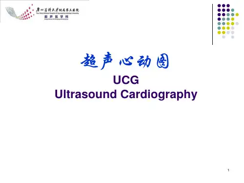 超声心动图-精品医学课件