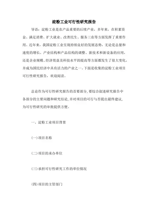 淀粉工业可行性研究报告