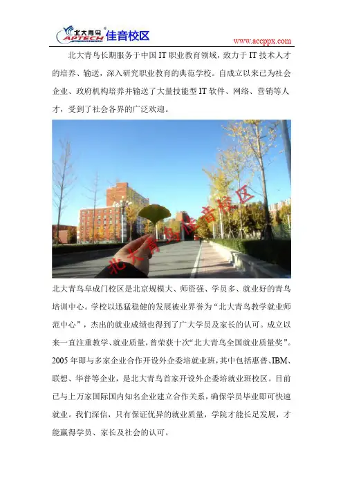 北大青鸟技术学校哪家好