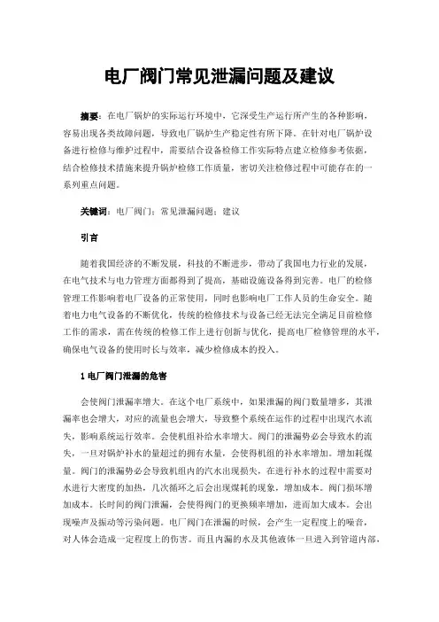 电厂阀门常见泄漏问题及建议