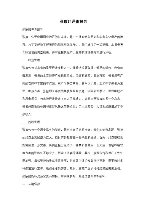 张掖的调查报告