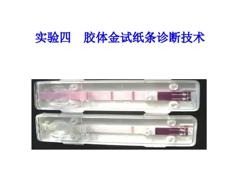 实验四___胶体金试纸条检测技术剖析