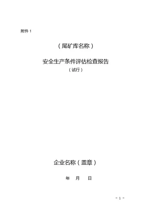 尾矿库安全生产条件评估检查报告