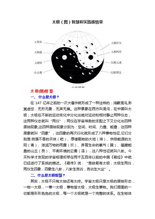 太极（图）智慧和实践感悟录