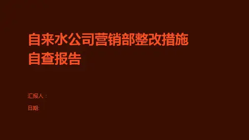 自来水公司营销部整改措施自查报告