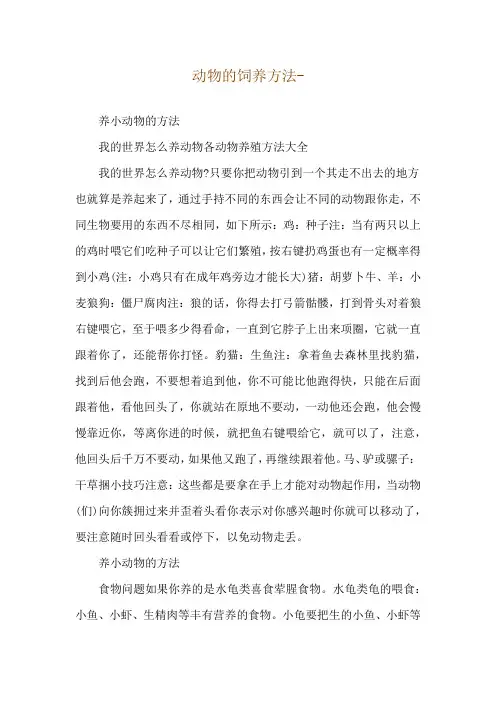 动物的饲养方法--养小动物的方法