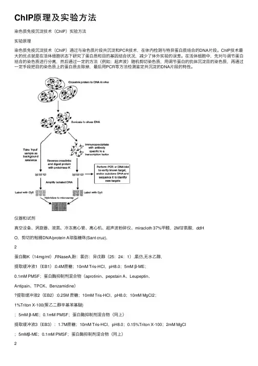 ChIP原理及实验方法