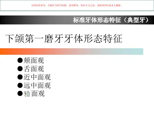 下颌第一磨牙牙体形态简述课件