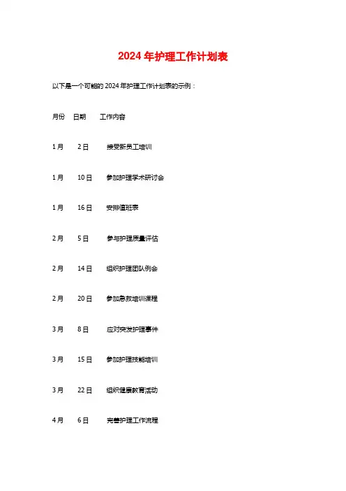 2024年护理工作计划表