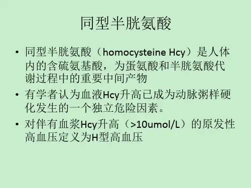 高同型半胱氨酸血症的药物治疗_临床医学_医药卫生.ppt